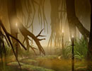 Swamp